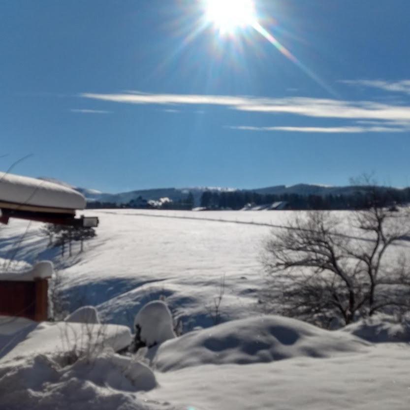 Apartments Carevo Polje Zlatibor Eksteriør bilde