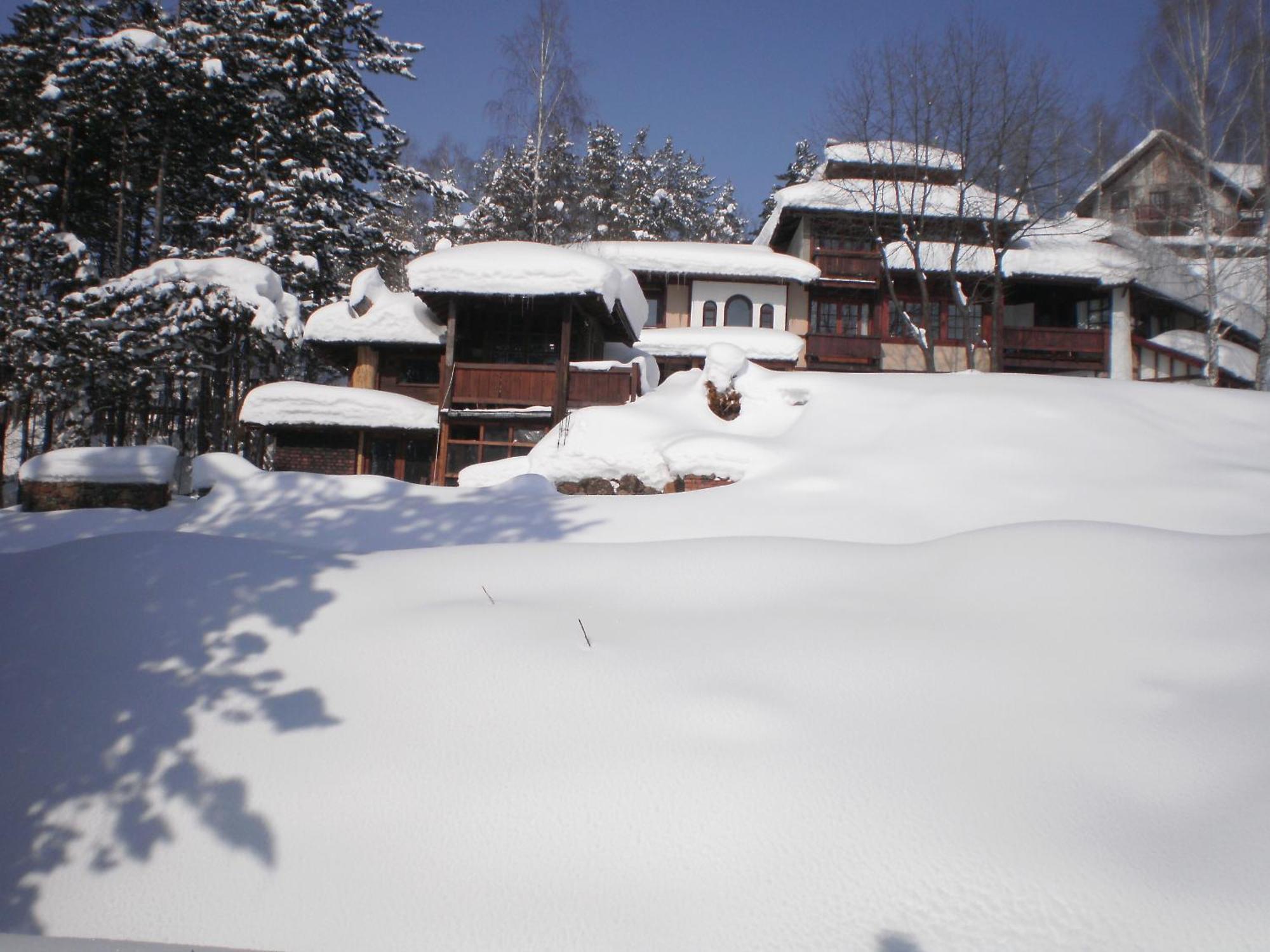 Apartments Carevo Polje Zlatibor Eksteriør bilde