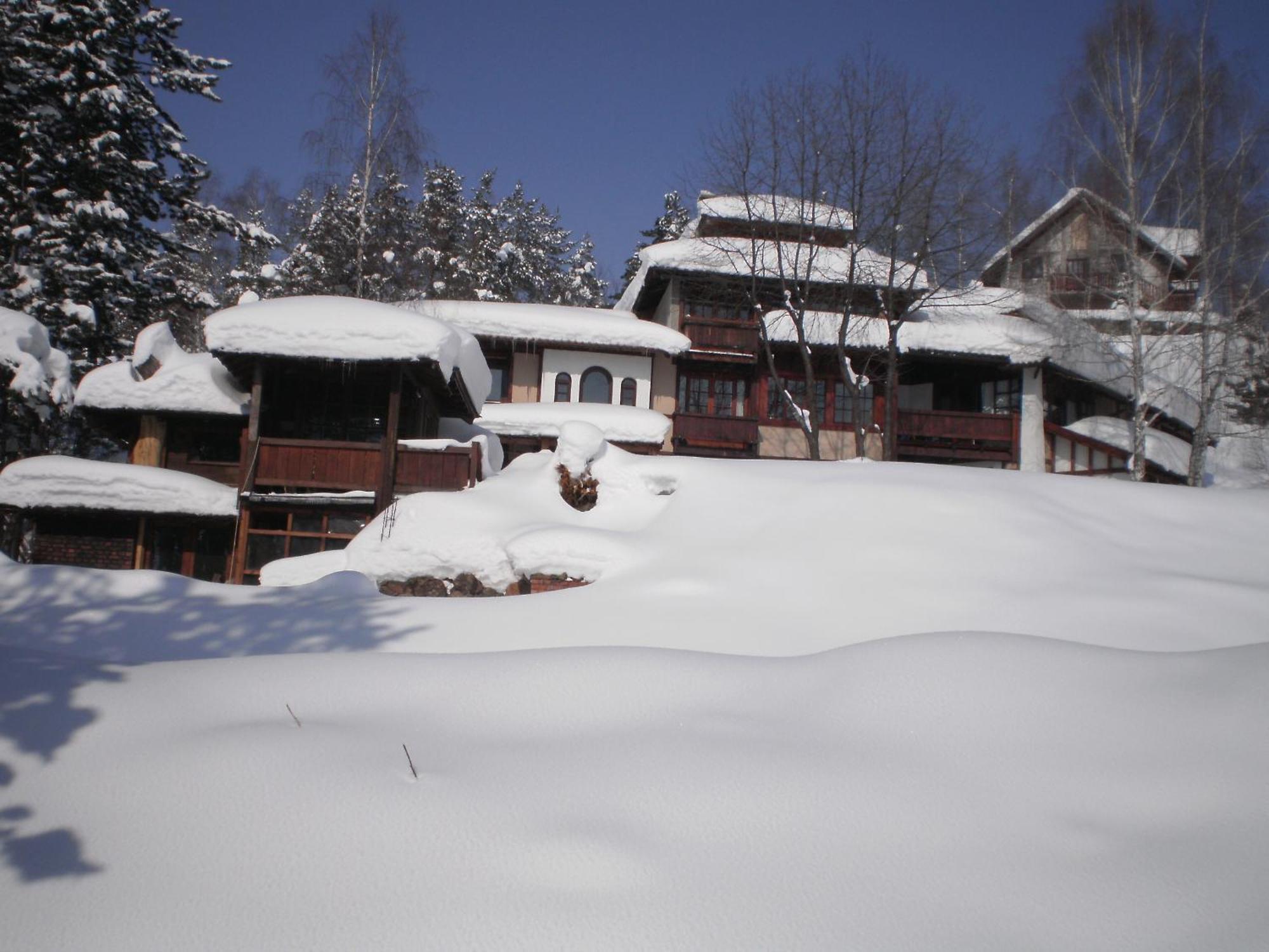 Apartments Carevo Polje Zlatibor Eksteriør bilde